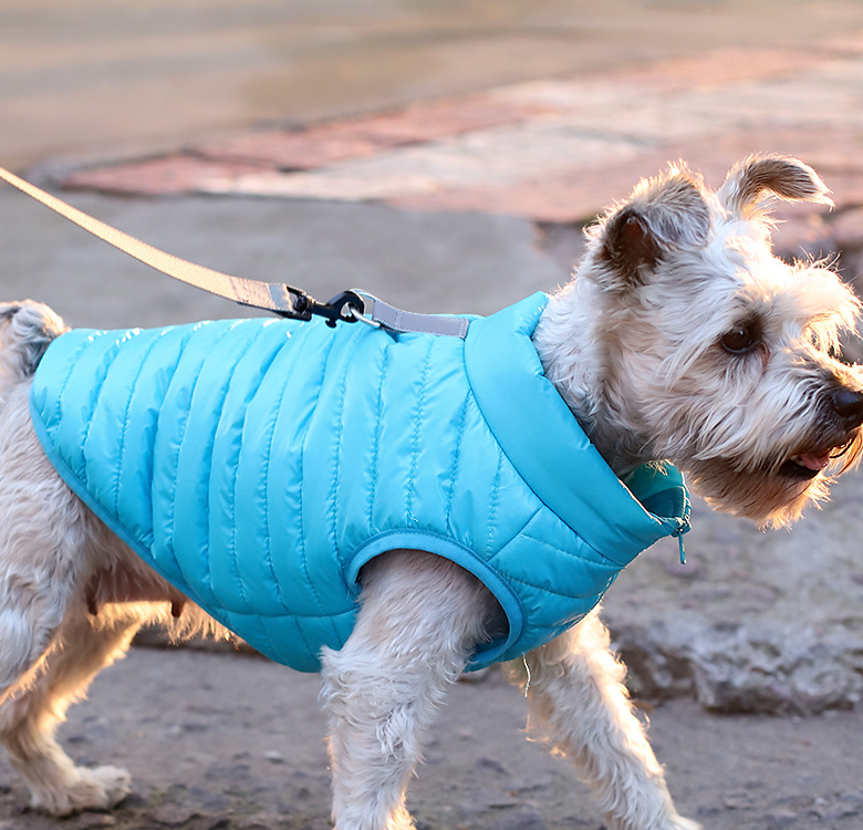 Stylish New Pet Dog Jacket: Autumn & Winter Full Nylon Zipper for Puppies