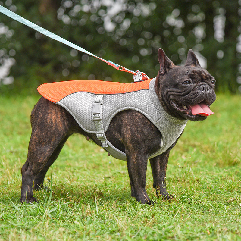 Summer Pet Outdoor Cooling Vest - Breathable Design for Ultimate Comfort