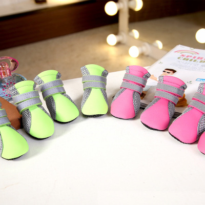 Waterproof Teddy Dog Shoes - Perfect Footwear for Your Dog's Comfort