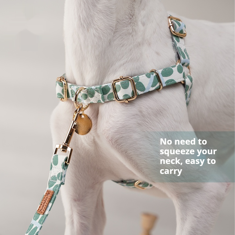 Explosion-proof Outdoor Pet Chest Strap with Hand Holding Rope