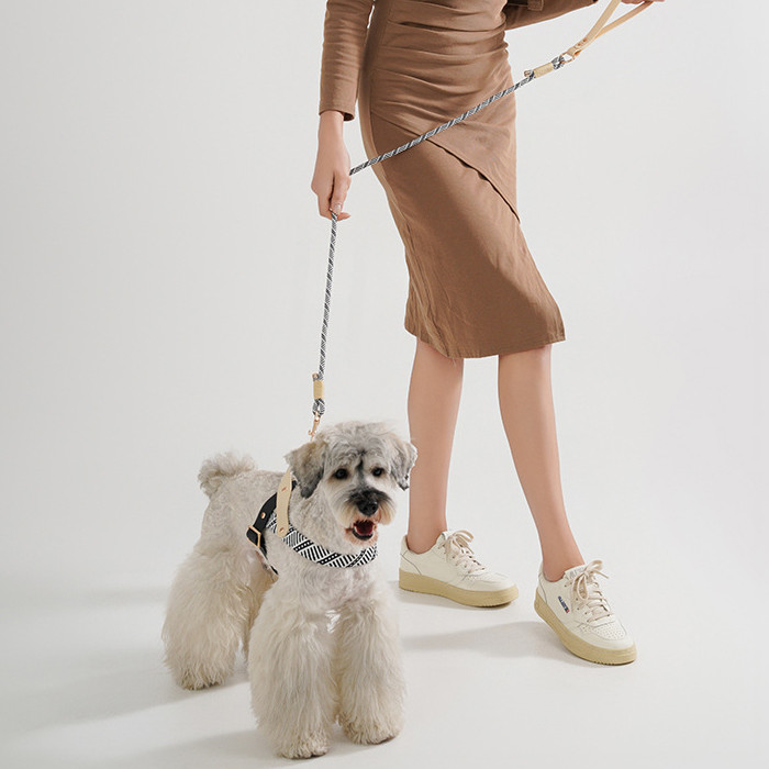 Durable Dog Hand-Held Rope Pet Harness Chain for Optimal Control