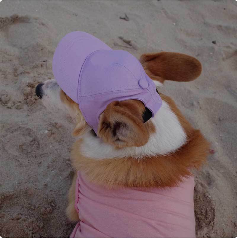 Adjustable Sun-Proof Pet Hat for Exposed Ears - Perfect for Outdoor Adventures