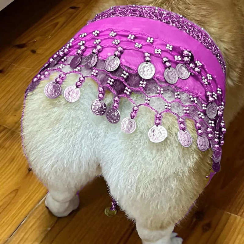 Belly Dance Sequined Waist Chain with Fart Design - Fun Dog Fart Hip Scarf