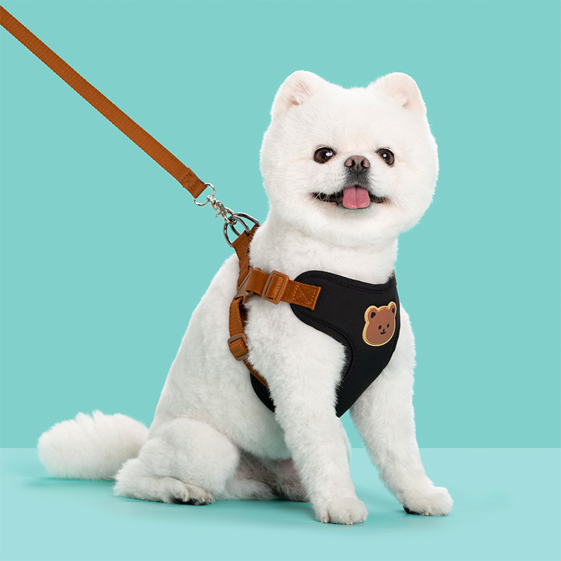 Durable Outing Dog Leash - Premium Pet Strap for Ultimate Control