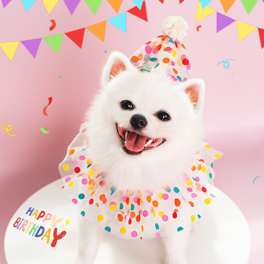 Adorable Pet Polka Dot Lace Bib Dog Birthday Outfit for Celebrations