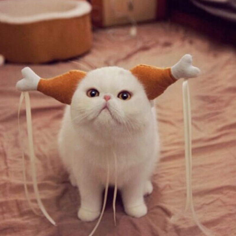 Funny Chicken Leg Headdress for Cats and Dogs - Unique Pet Costume Accessory