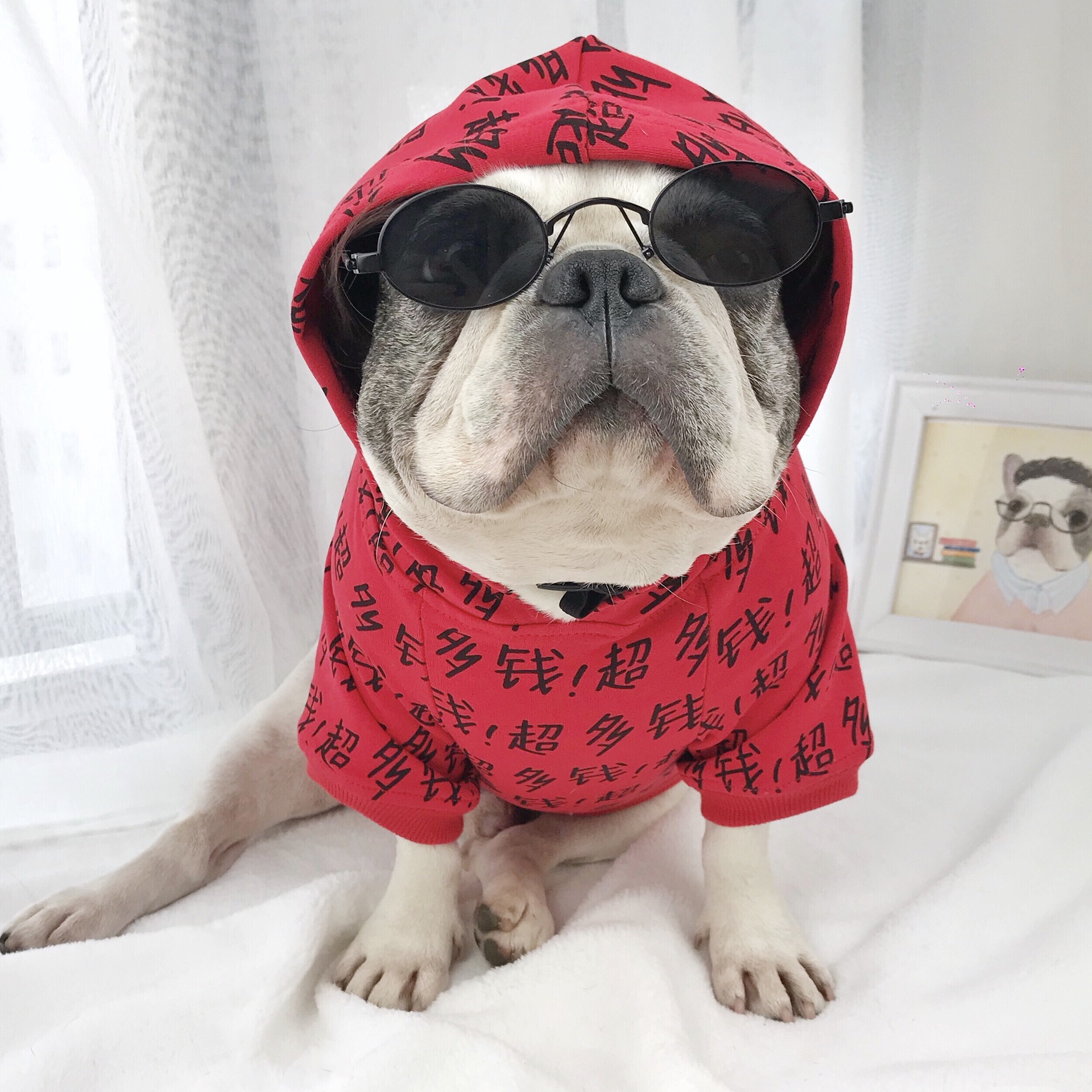 Medium and Large Dog Glasses Toy - Fun & Stylish Pet Accessory