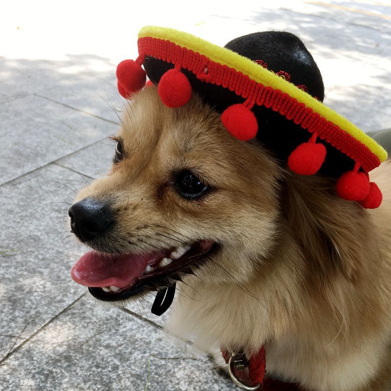 Hot Dog Hats for Pets - Trendy New Sales on Pet Supplies