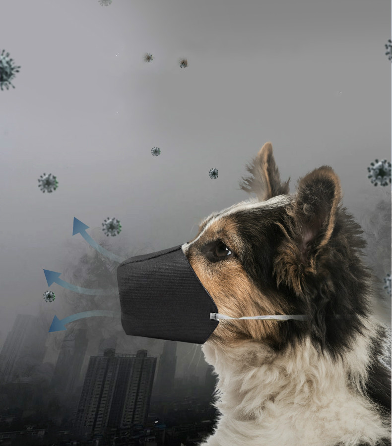 Pet Mouth Cover for Outdoor Adventures - Keep Your Pet Safe and Stylish