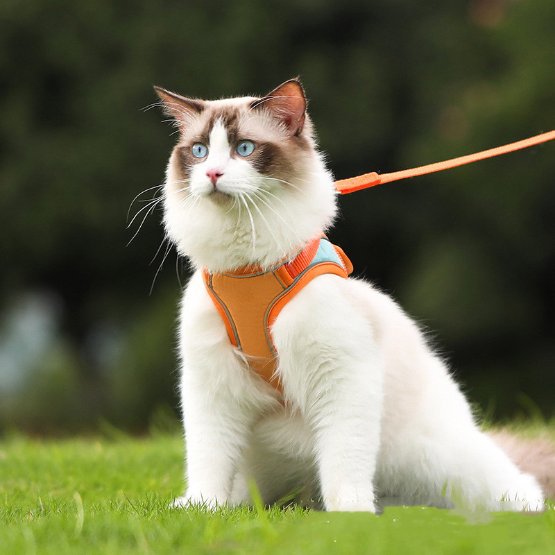 Reflective Cat Harness with Leash - Anti-Escape Design for Safety