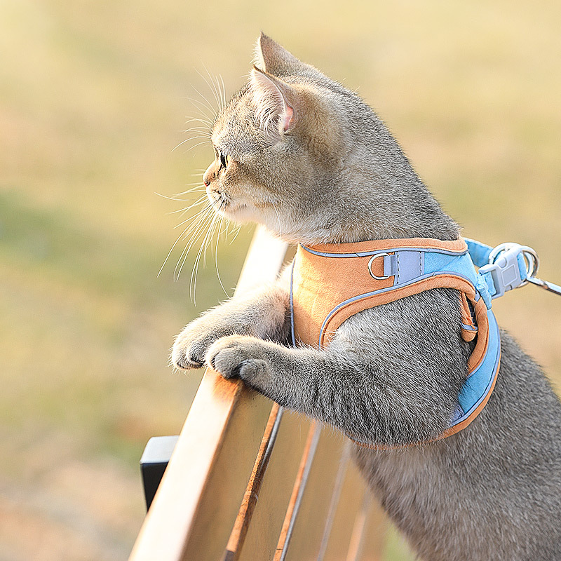 Cat Traction Rope Home Vest-Style Chest Harness - Adorable Anti-Stroke Cat Walking Rope