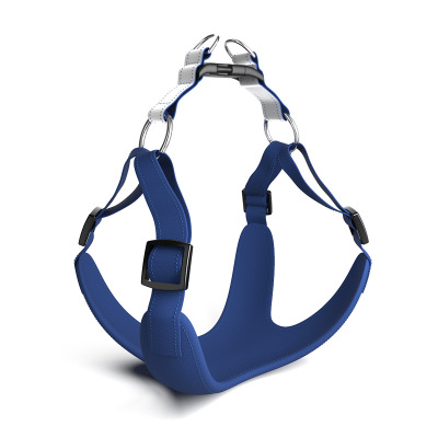 Per Harness with Leash - Durable Pet Safety Gear for Comfortable Walks