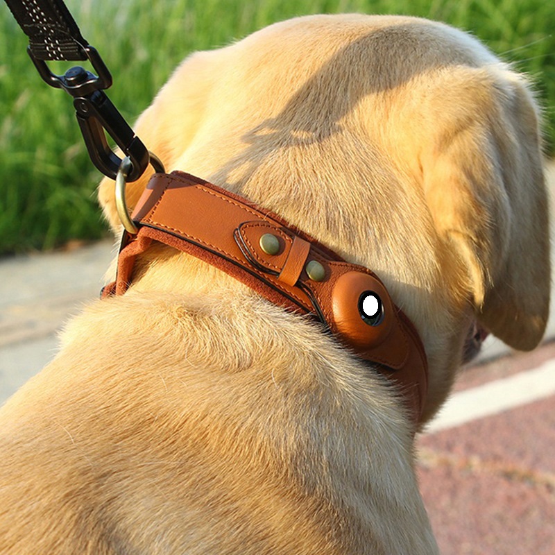 Premium First Layer Leather Dog Collar with Location Tracker for Pets