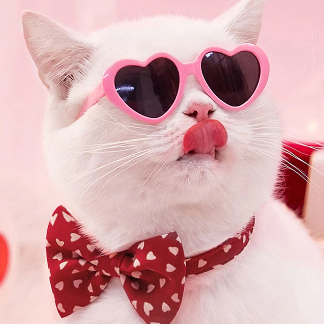 Doll Sunglasses for Pets - Stylish Toy Accessories for Fun Playtime