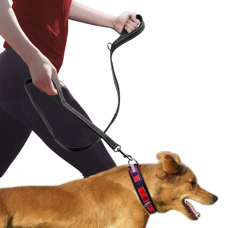 Durable Pet Double Handle Pull Leash for Enhanced Control and Comfort