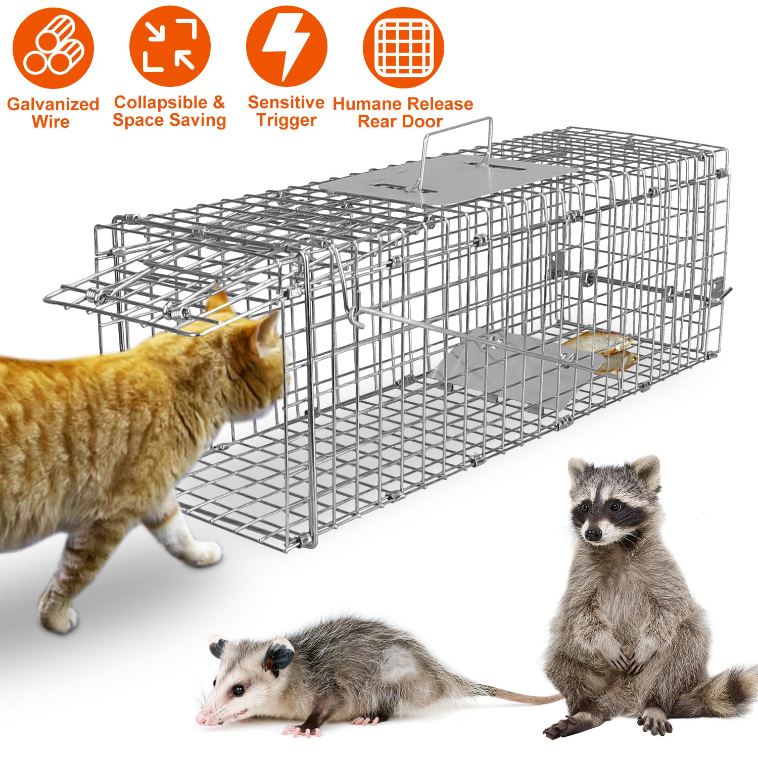 Foldable Galvanized Wire Cat Trap Cage for Live Animal & Rodent Catch and Release