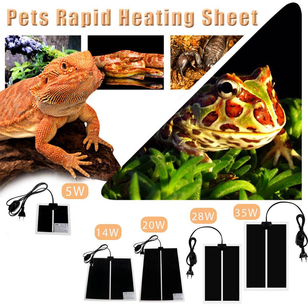 Pet Reptile Terrarium Heating Pad with Thermostat Controller - EU Plug