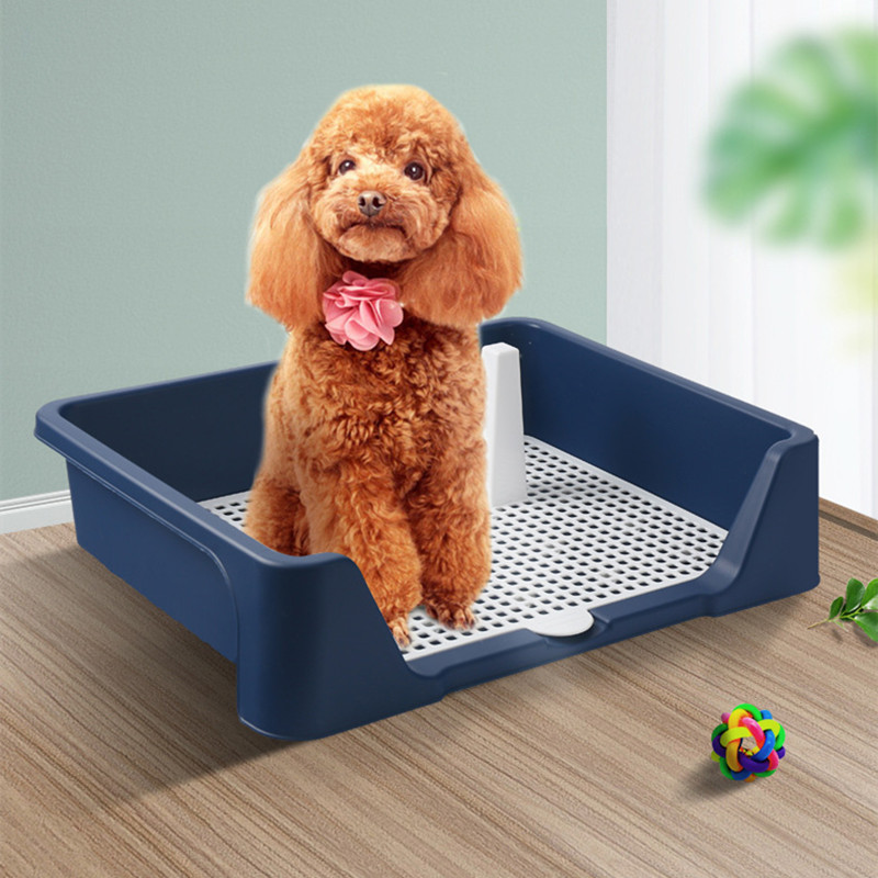 Dog Supplies Large Anti-Stepping Stool for Urinals - Essential Pet Accessory