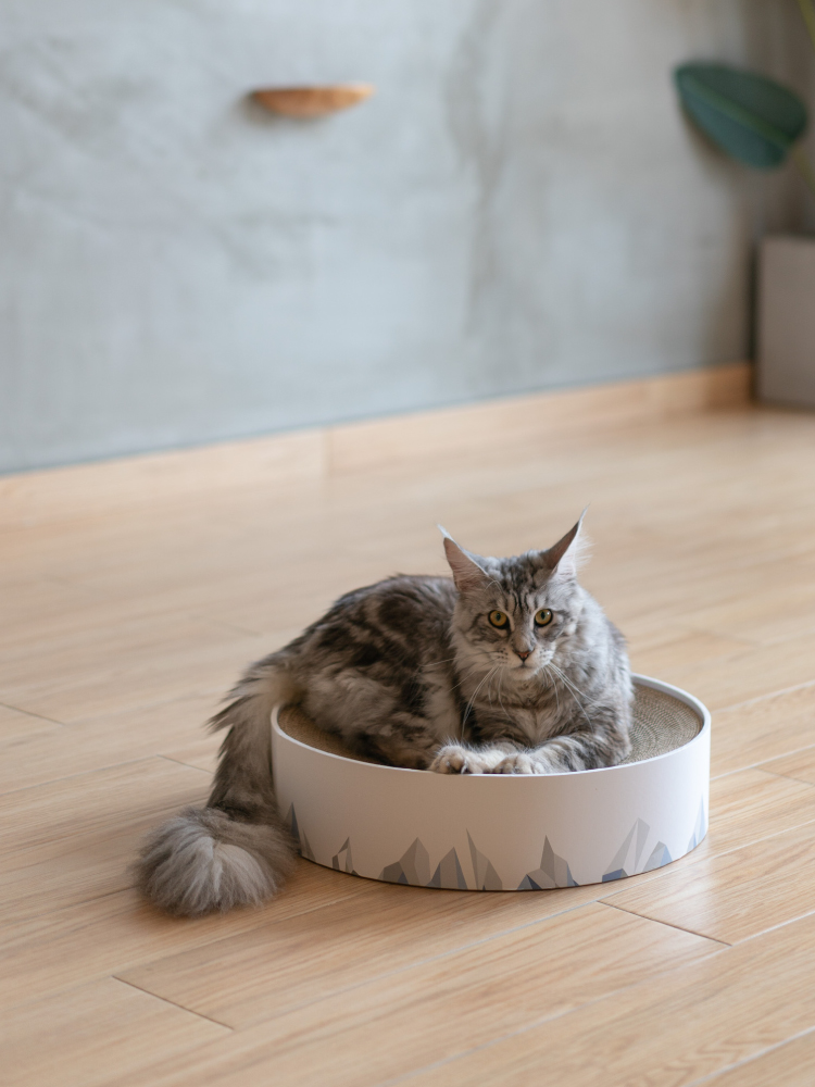 Valley Cat Scratcher - Corrugated Claw Sharpener for Cats & Kittens