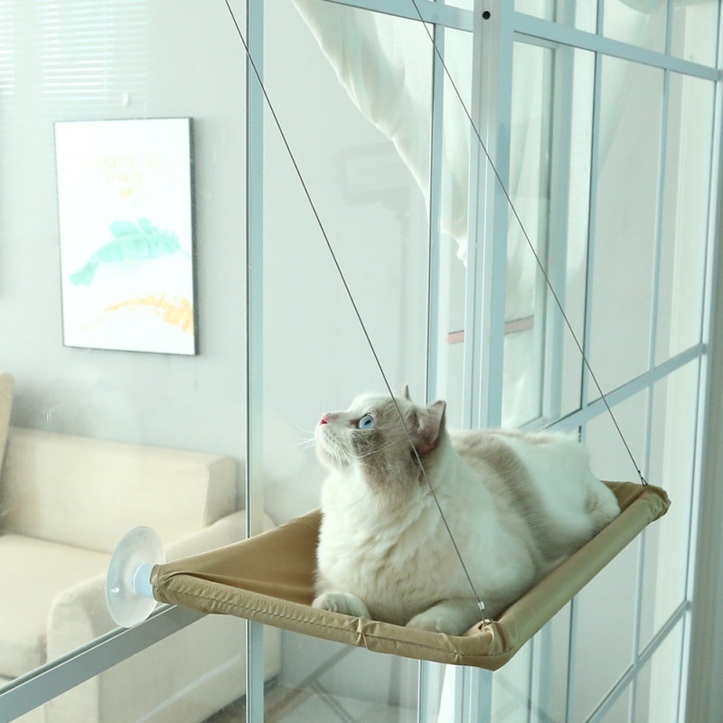 Four Seasons Suction Cat Bed - Cozy Swing Design for Ultimate Comfort