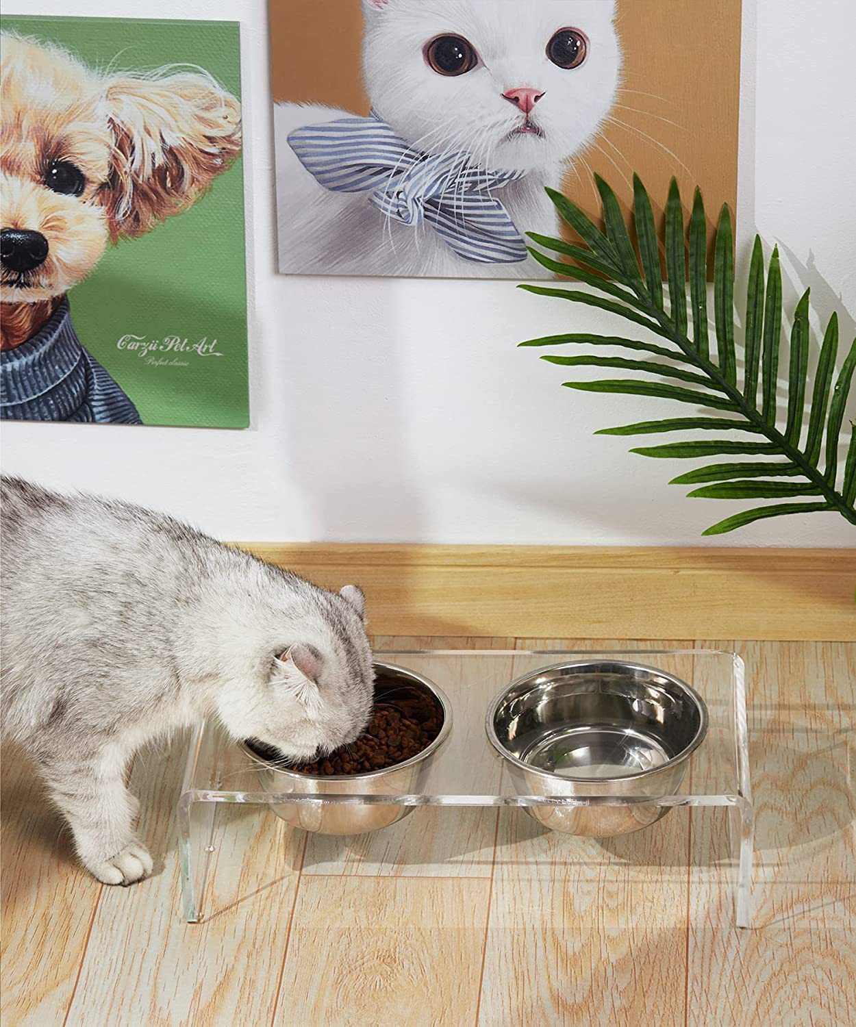 Acrylic Pet Feeder for Dogs and Cats - Small Cat and Dog Feeding Rack