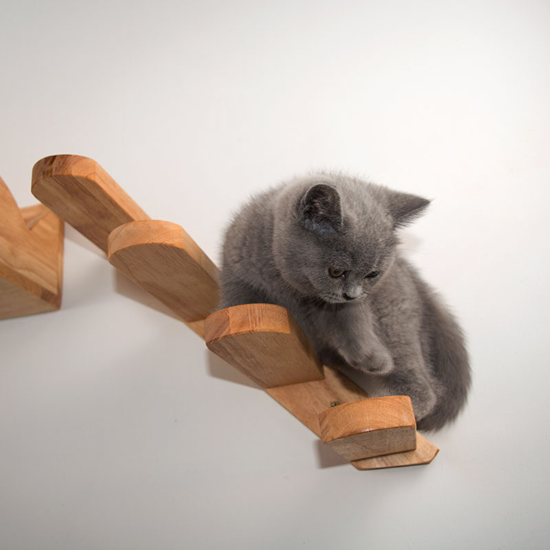Cats Climbing Ladders on Sturdy Solid Wood Walls with Rubber Wood Springboards & Fun Stair Toys