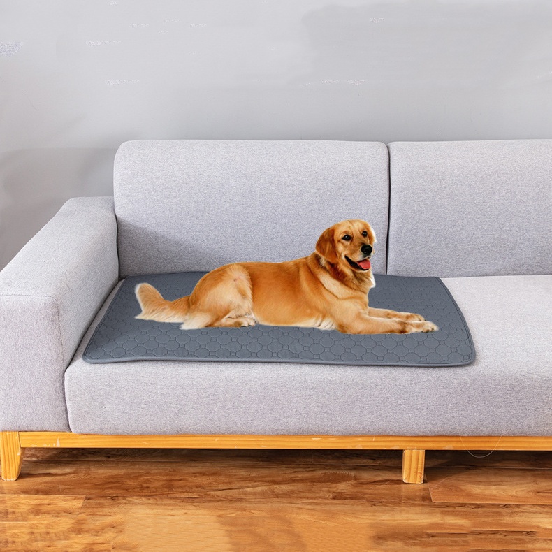 Non-Slip, Easy-Drying, Washable, and Reusable Pet Changing Pads for Ultimate Convenience