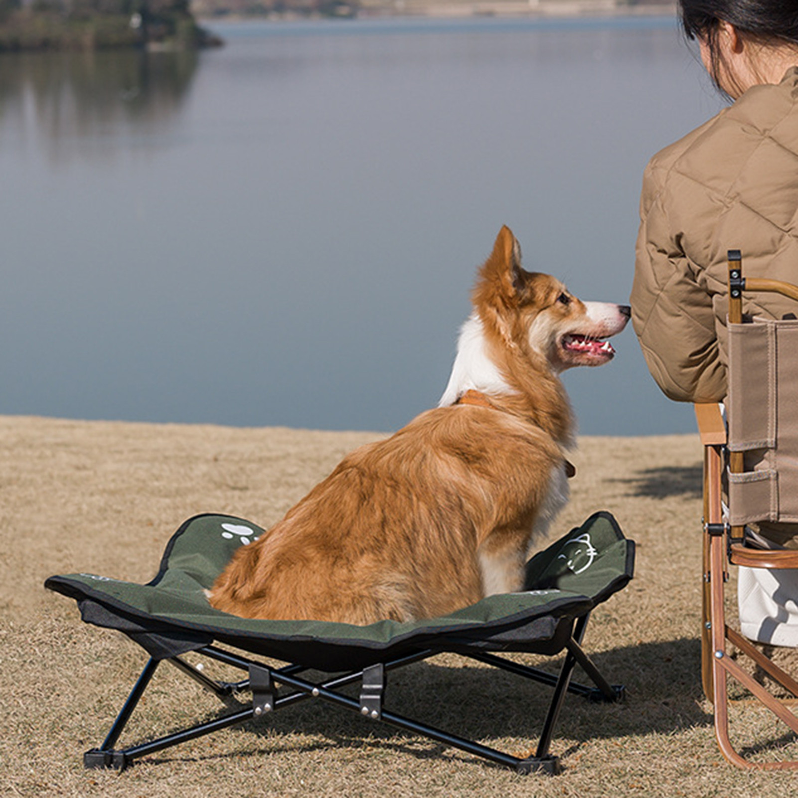 Portable, Washable Outdoor Pet Folding Bed - Detachable Design for Easy Care