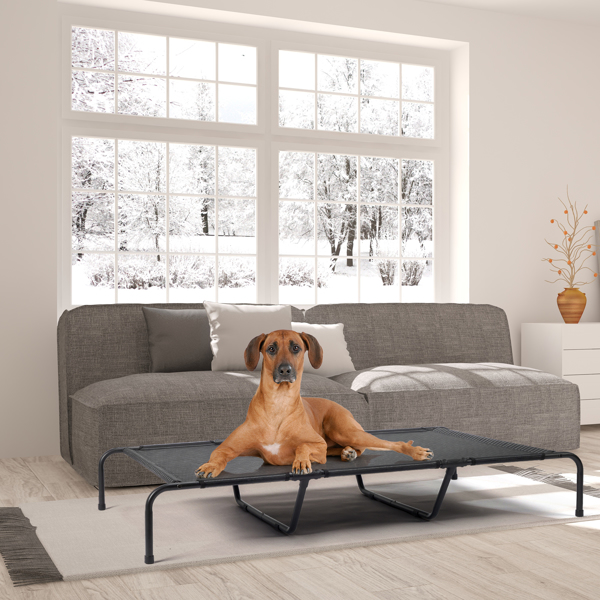 Cozy and Comfortable Pet Beds for Your Furry Friends - Shop Now!