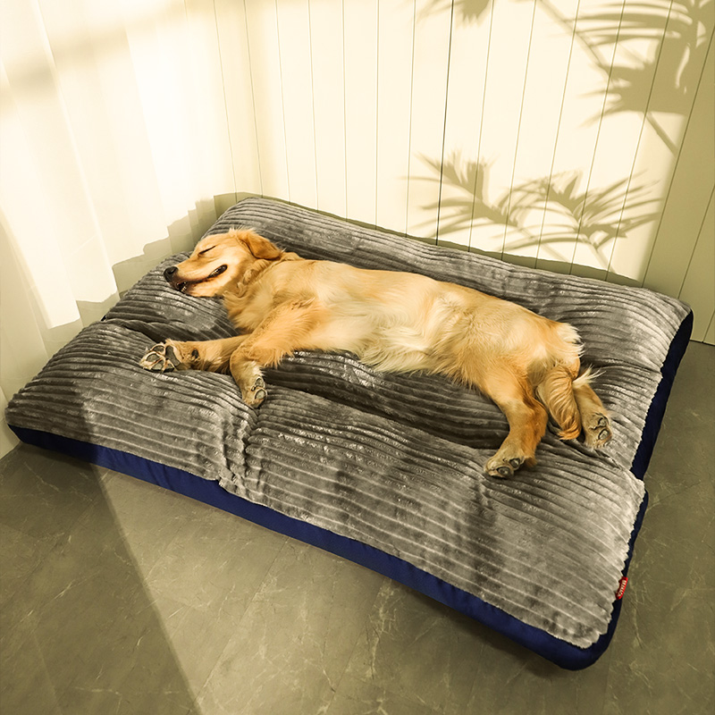 Washable and Removable Pet Products for Comfortable Sleeping