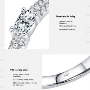 Ins Style Elegant Light Luxury Double Layer Gang Drill Diamond-Studded Ring for Women - S925 Silver High-End Jewelry