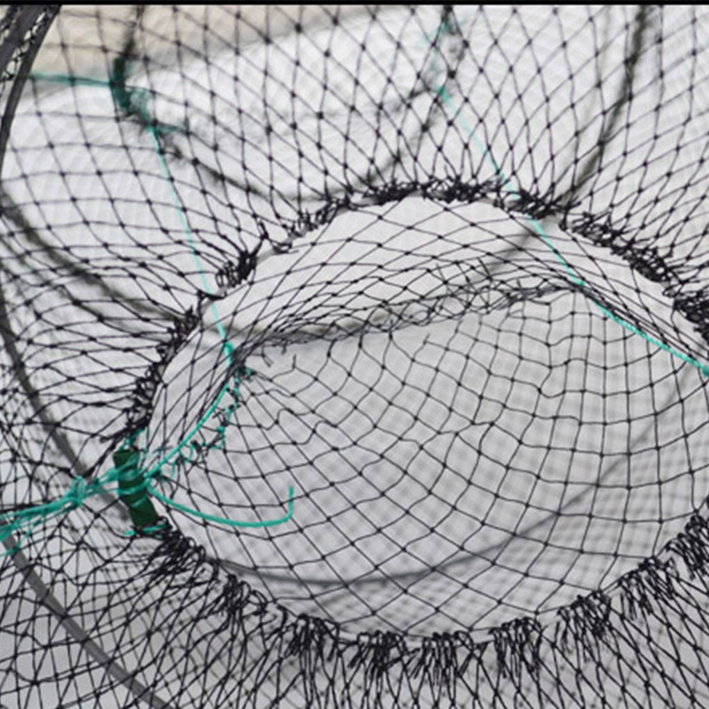 Fish Cage & Turtle Cage - Essential Tool for Catching Fish - Image 4