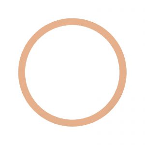 DPF Gasket for Navistar International 2594129C1 - New Particulate Filter Replacement