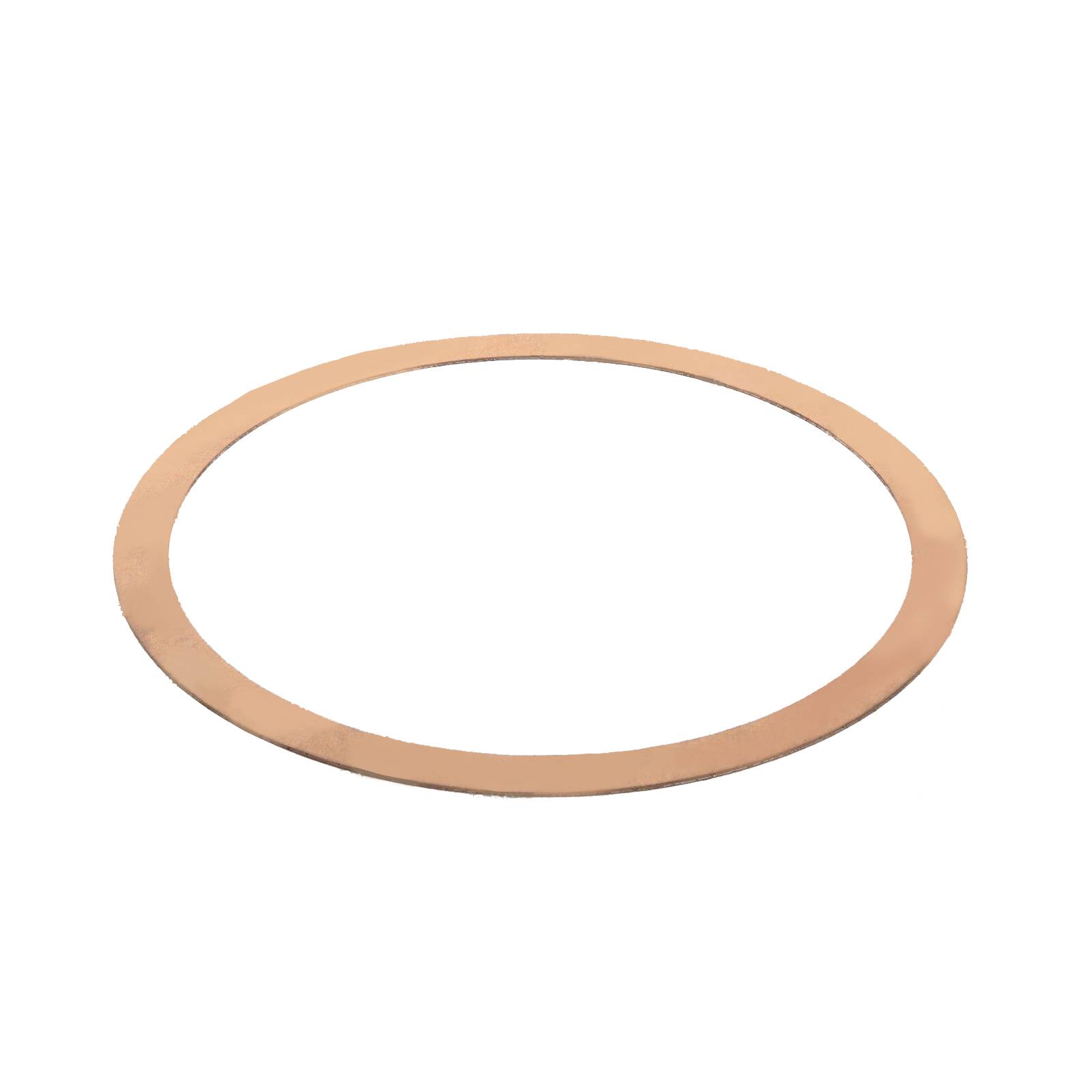 DPF Gasket for Navistar International 2594129C1 - New Particulate Filter Replacement - Image 2