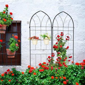 Black Metal Garden Trellises for Climbing Plants - Outdoor Flower Brackets