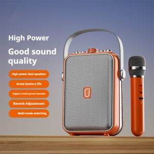 Portable Outdoor Karaoke Bluetooth Speaker - Wireless Audio Experience