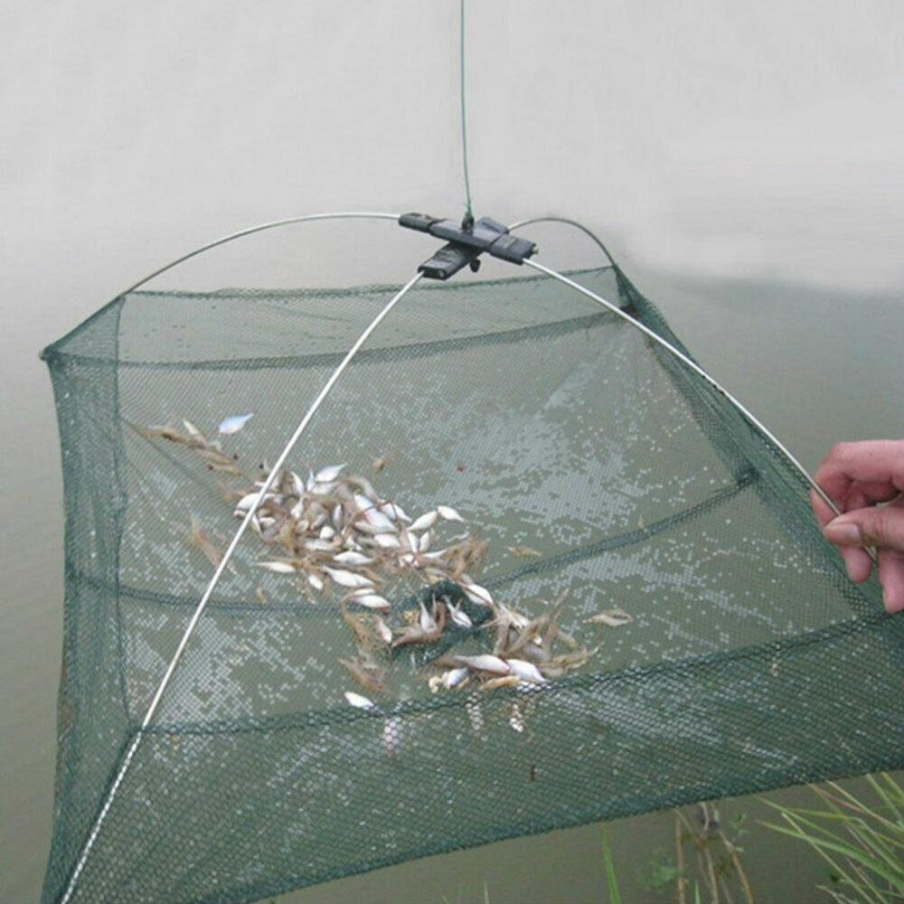 Premium Fishing Nets, Cages for Shrimp, Pull-out Nets, and Kites for Anglers