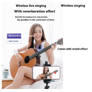 Bluetooth Wireless Microphone with Reverb for Enhanced Accompaniment