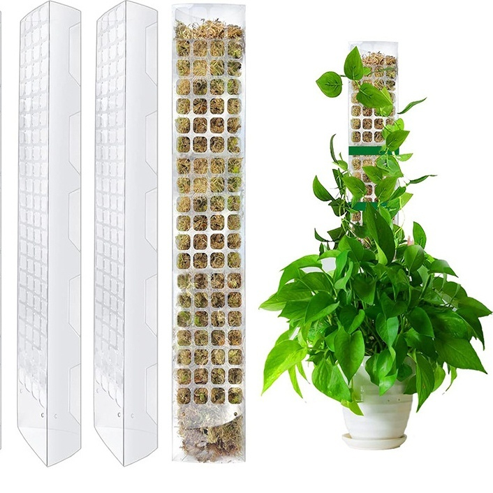 Plastic Moss Pole for Climbing Plants - Ideal Vine Support Brackets