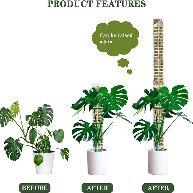 Plastic Moss Pole for Climbing Plants - Ideal Vine Support Brackets - Image 5