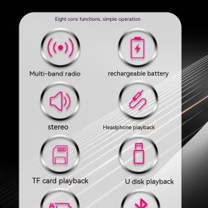 Powerful Portable Radio with Strong Stereo Speaker Signal