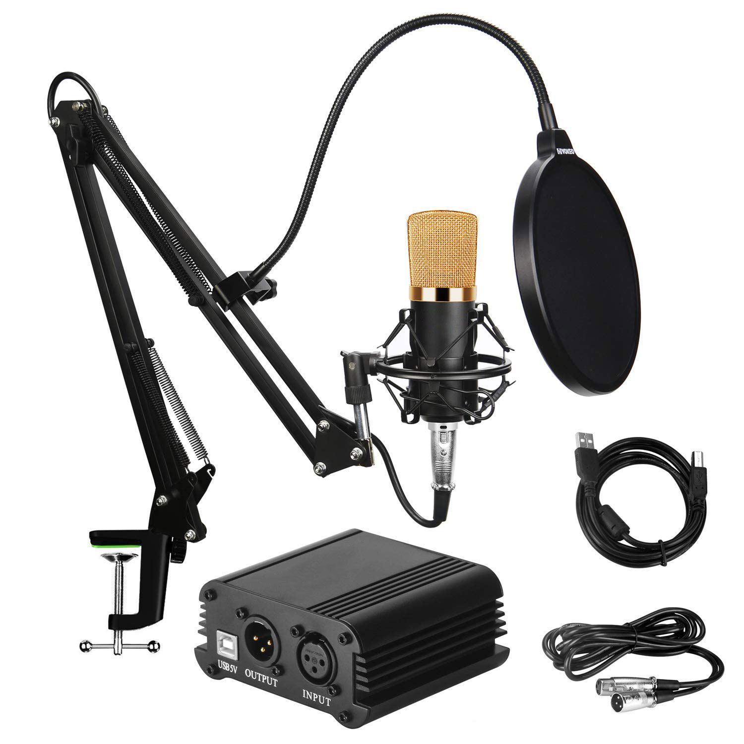 Live K Song Podcast with Shouting Microphone - Perfect for Recording! - Image 7
