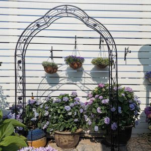 Versatile Metal Garden Arch - 8 Styles for Trellis & Climbing Plants Outdoors