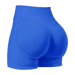 High Waist Seamless Yoga Shorts - Quick-Drying Tight Fit for Sports & Fitness