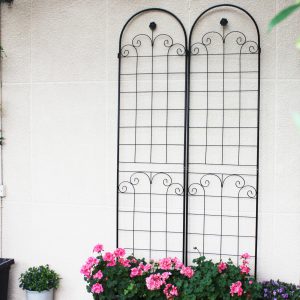 Durable Metal Garden Trellis for Climbing Plants in Your Outdoor Space