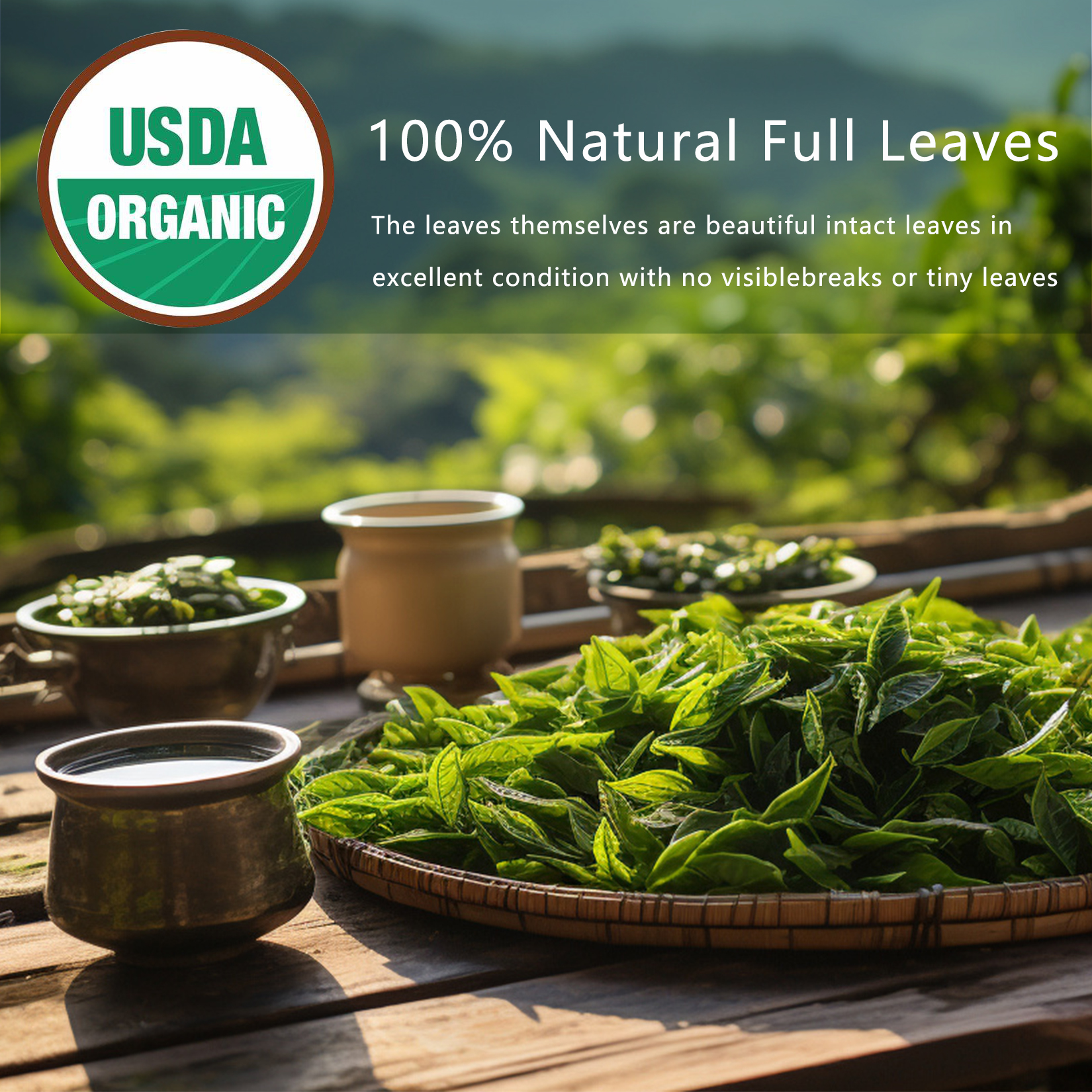 Natural Herbal Detox Cleanse Tea Bags - Oolong Leaf for Lung Congestion Relief, Caffeine-Free, Non-GMO, Organic Formula for Gut Health & Immune Support - Image 3